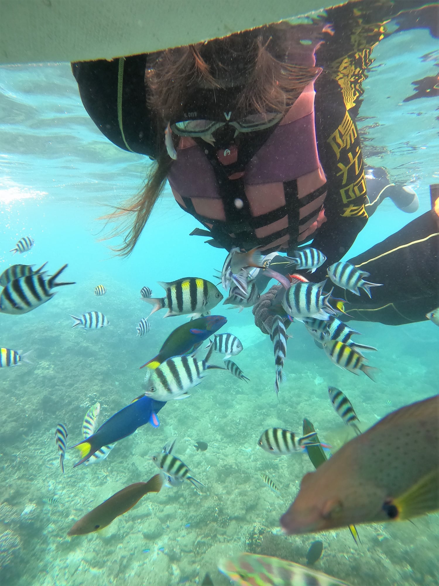 澎湖旅遊-專業浮潛